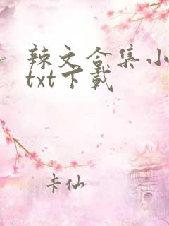 辣文合集小说网txt下载