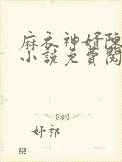 麻衣神婿陈黄皮小说免费阅读