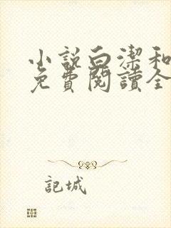 小说白洁和高义免费阅读全文