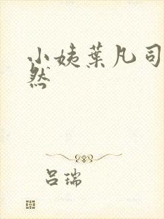 小姨叶凡司徒嫣然