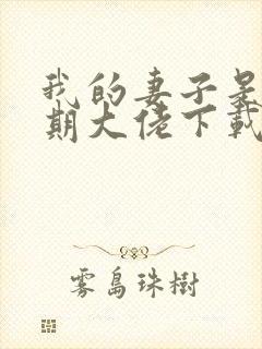 我的妻子是大乘期大佬下载