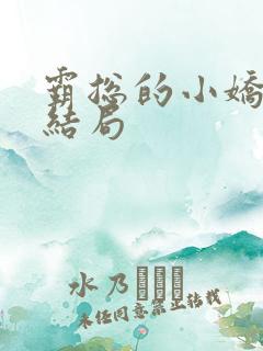 霸总的小娇妻大结局