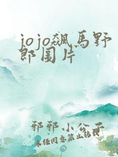 jojo飙马野郎图片