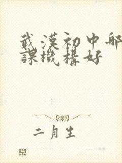 武汉初中哪个补课机构好