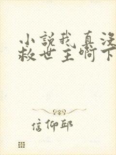 小说我真没想当救世主啊下载