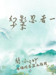 幻影忍者一共多少季