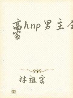 高hnp男主全处