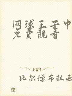 网球王子中文版免费观看