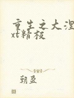 重生之大涅磐txt精校