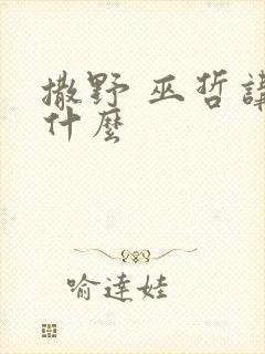 撒野 巫哲讲的什么