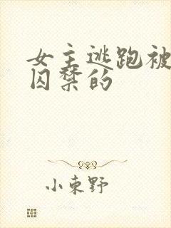 女主逃跑被捉回囚禁的