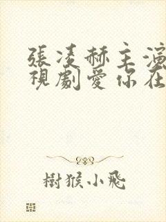 张凌赫主演的电视剧爱你在线观看