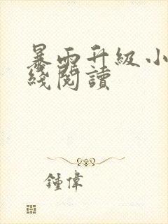 暴雨升级小说在线阅读