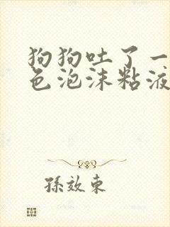 狗狗吐了一滩白色泡沫粘液还拉稀