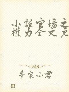 小说官场之绝对权力全文免费阅读