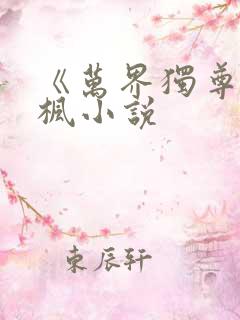 《万界独尊》林枫小说