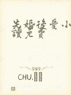 先婚后爱小说阅读免费