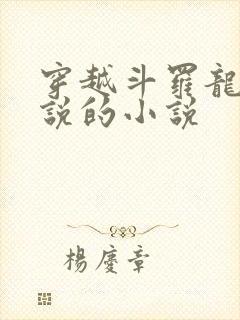 穿越斗罗龙王传说的小说