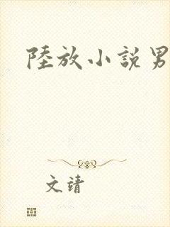 陆放小说男主