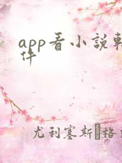 app看小说软件