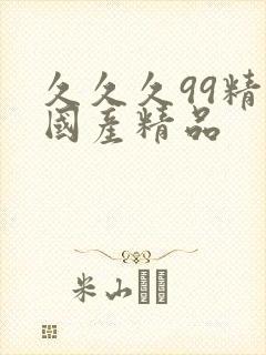 久久久99精品国产精品