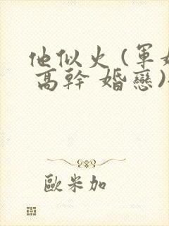 他似火 (军婚 高干 婚恋)全文免费阅读