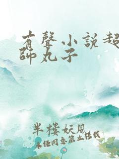 有声小说超品相师丸子