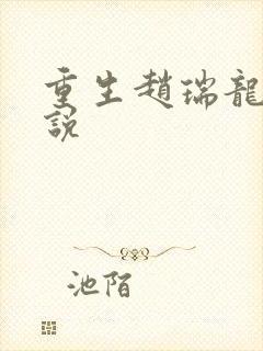 重生赵瑞龙的小说
