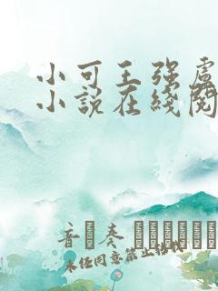 小可王强卢叔的小说在线阅读全文