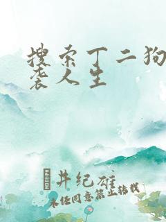 搜索丁二狗的逆袭人生
