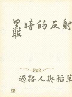 黑暗的反射完整版