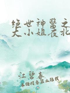 绝世神医之腹黑大小姐夜北