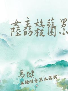 女主姓苏男主姓陆的校园小说