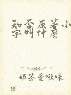 知否原著小说名字叫什么