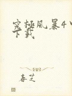 究极风暴4中文下载