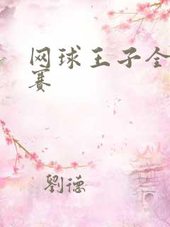 网球王子全国大赛