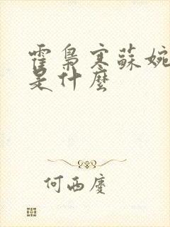 霍枭寒苏婉结局是什么