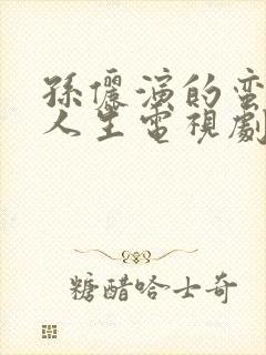 孙俪演的蛮好的人生电视剧免费观看