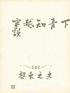 穿越知青下乡小说