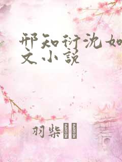 邢知衍沈如霜全文小说