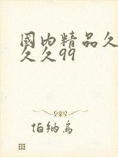 国内精品久久久久久99