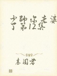 少帅你老婆又跑了第12集