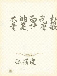 不明白我对你的爱是什么歌