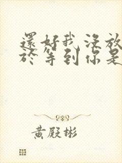 还好我没放弃终于等到你是什么歌