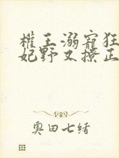 权王溺宠狂傲王妃野又撩正版