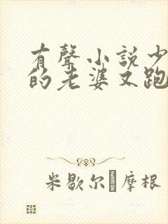 有声小说少帅你的老婆又跑了