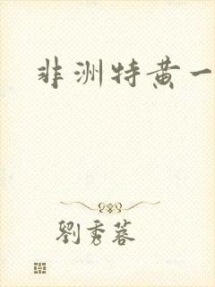 非洲特黄一级片