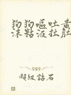 狗狗呕吐黄水泡沫粘液拉肚子