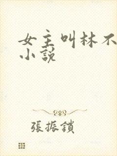 女主叫林不语的小说