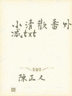 小清欢番外未删减txt